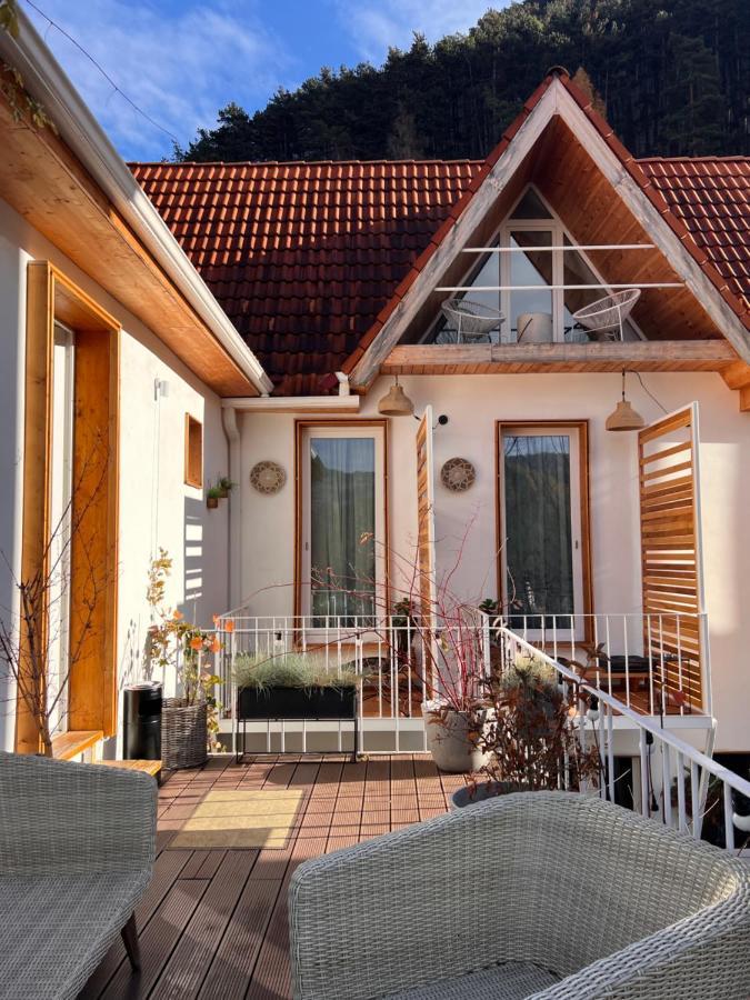 Shard Boutique Hotel-adult Only Braşov