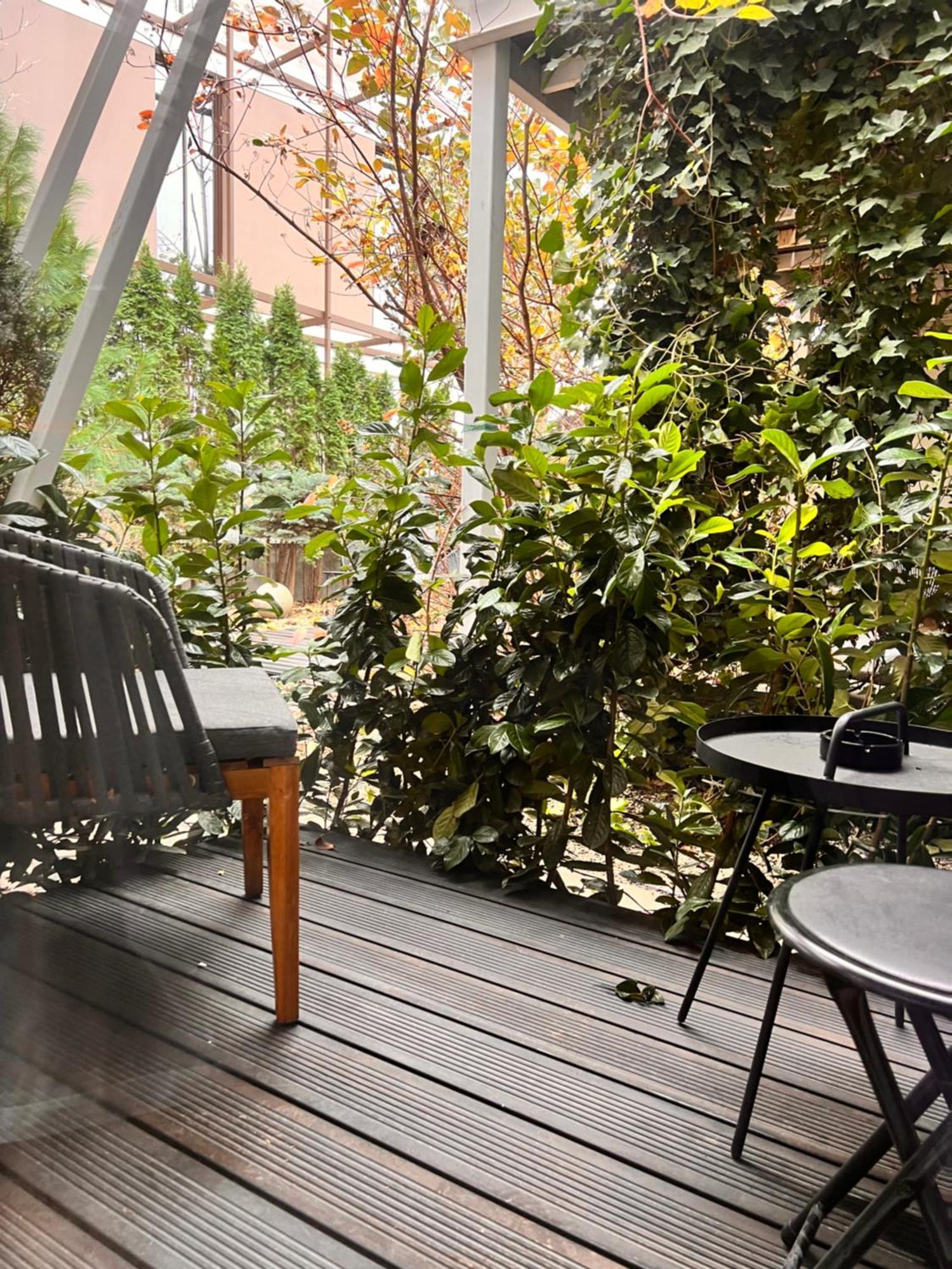 Guest house Shard Boutique Hotel-adult Only Brasov